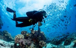  image, Scuba Diving for Certified Divers, Bali Diving