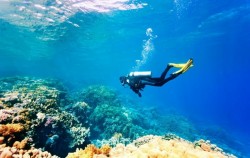 Scuba Diving for Certified Divers, 