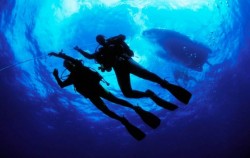 Scuba Diving for Certified Divers, Bali Diving, 