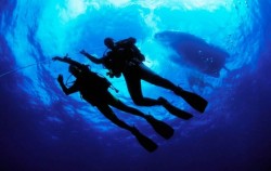 ,Bali Diving,Scuba Diving for Certified Divers