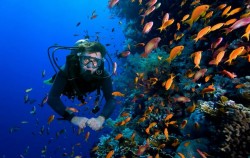 ,Bali Diving,Scuba Diving for Certified Divers