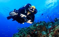 ,Bali Diving,Scuba Diving for Certified Divers
