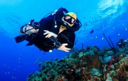  image, Scuba Diving for Certified Divers, Bali Diving