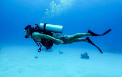 ,Bali Diving,Diving Speciality Course by Ena