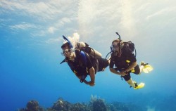 Snorkeling for Certified Divers, Bali Diving, 
