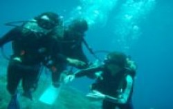 Diving for Beginners, 