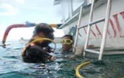 Diving for Beginners, Bali Diving, 
