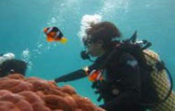 Diving for Beginners, 