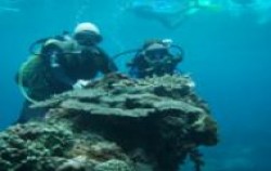 Diving for Beginners, Bali Diving, 