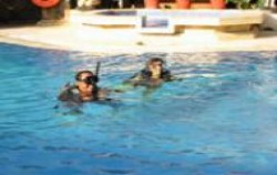 Diving for Beginners, 