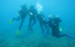 ,Bali Diving,Diving for Beginners