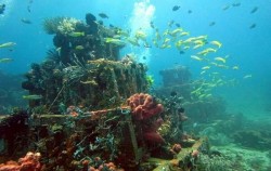 ,Bali Diving,Diving Speciality Course by Ena