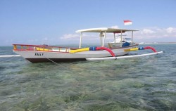 ,Bali Diving,Special Charter Boat Diving by Ena