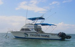  image, Special Charter Boat Diving by Ena, Bali Diving