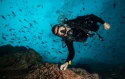 ,Bali Diving,Snorkeling and Turtle Breeding Island Tour
