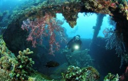 ,Bali Diving,Diving Courses by Ena