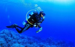  image, Special Charter Boat Diving by Ena, Bali Diving