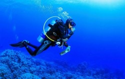 Special Charter Boat Diving by Ena, 