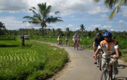 Ubud Bali Cycling, Village Cycling