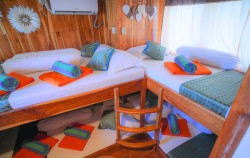 Sharing Ii Cabin image, Open Trip 3D2N by Arfisyana Indah Deluxe Phinisi, Komodo Open Trips