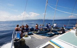 Aristocat Lembongan Cruise, Aristocat Deck