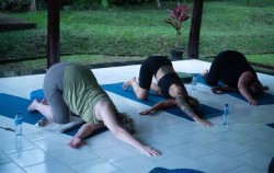 Yin Yoga Flow,Bali Wellness Retreats,Sesandan House of Healing