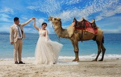 Camel Photoshoot image, Bali Camel Adventure, Bali Camel Safari