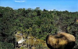 Stone Spot,Fun Adventures,Real Bali Swing