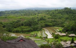 Bedugul and Taman Ayun Temple Tour, Bedugul Bali