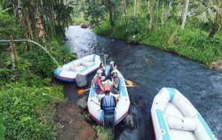 Beginning from start point,Bali 2 Combined Tours,Rafting and Elephant Ride