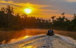 3 Days 2 Nights Orangutan Tour by Speed Boat, Sunset Speed Boat