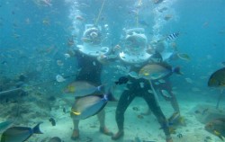 Sea Walker Lembongan, 