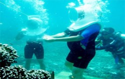 ,Lembongan Package,Sea Walker Lembongan