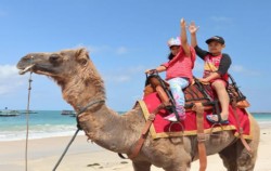 Bali Camel Adventure, Camel Fun Ride