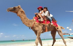 Bali Camel Adventure, Bali camel adventure