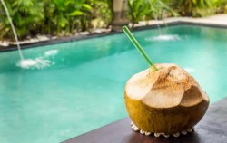 Fresh Coconut image, Lembongan Snorkeling and Island Tour, Lembongan Package