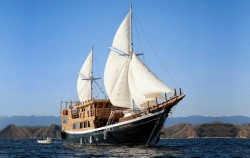 Open Trip Komodo 3D2N by Cordelia Luxury Phinisi, Komodo Open Trips, Cordelia Phinisi