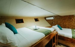 Open Trip Komodo 3D2N by Cordelia Luxury Phinisi, Crystal Cabin