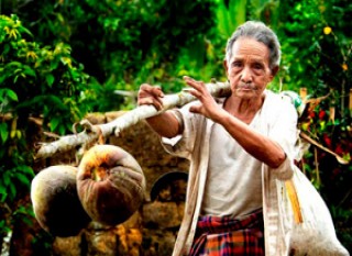 Local Farmer