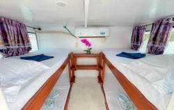 Sharing Cabin 2,Komodo Open Trips,Open Trip 2D1N by Deden Putra Superior Phinisi