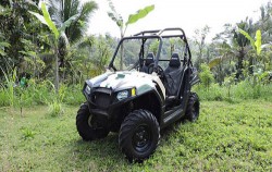 Jungle Buggies Packages by Mason Adventures, Fun Adventures, Double polaris