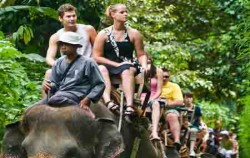Bali Adventure Elephant Riding, Bali Elephant Riding, roads with elephants