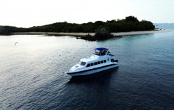 Speedboat,Komodo Open Trips,Full Day Open Trip Komodo by Easy Go Akassa Speedboat