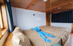 Deluxe Cabin 1,Komodo Open Trips,Open Trip 3D2N by El Ashar Deluxe Phinisi