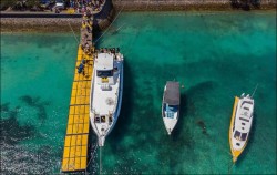 El Ray - Boat Port,Nusa Penida Fast boats,El Rey Fast Cruise