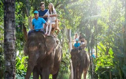 Elephant ride couple image, Elephant Riding & Spa Pack, Bali 2 Combined Tours