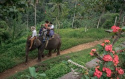 Elephant riding experience,Bali 2 Combined Tours,Elephant Riding & Spa Pack