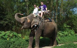 Trekking & Elephant Riding, Elephant ride experience