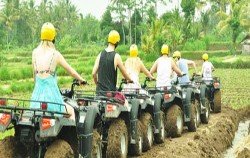 Farm track,Bali 3 Combined Tours,Rafting, Elephant Ride & ATV Riding