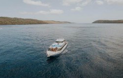 Fastboat of Starfish image, Starfish Fast Cruise, Nusa Penida Fast boats